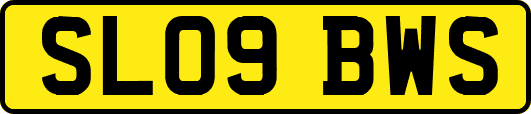 SL09BWS