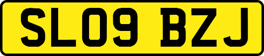 SL09BZJ