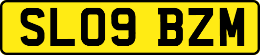 SL09BZM