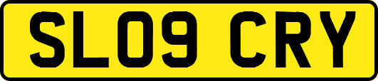 SL09CRY