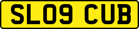 SL09CUB