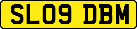 SL09DBM