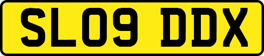 SL09DDX