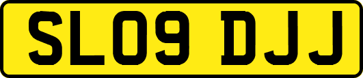 SL09DJJ