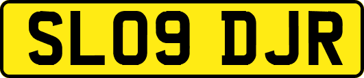 SL09DJR