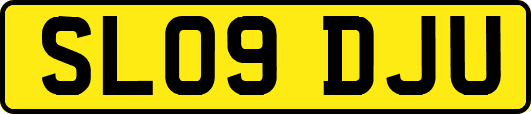 SL09DJU