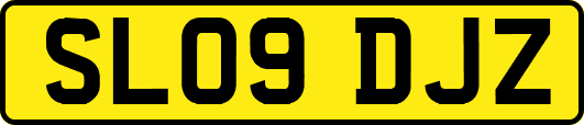 SL09DJZ