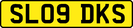 SL09DKS