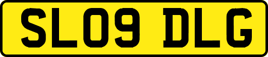 SL09DLG
