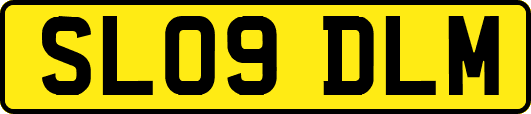 SL09DLM