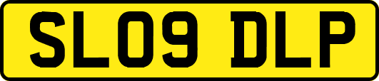 SL09DLP