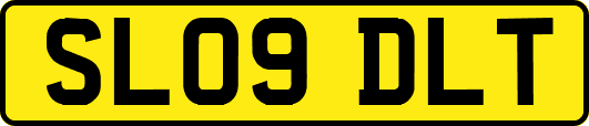 SL09DLT