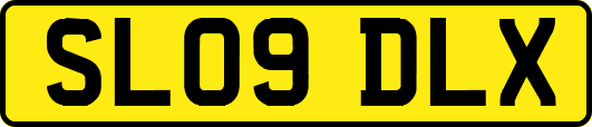 SL09DLX
