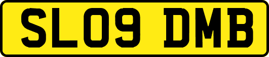 SL09DMB