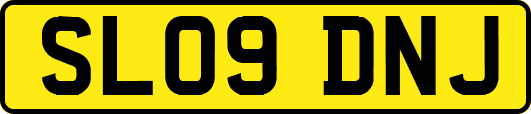SL09DNJ