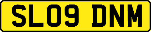 SL09DNM