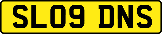 SL09DNS
