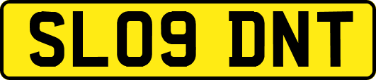 SL09DNT