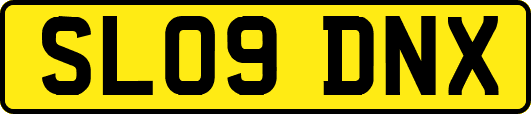 SL09DNX