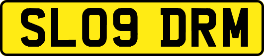 SL09DRM