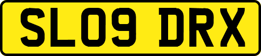 SL09DRX