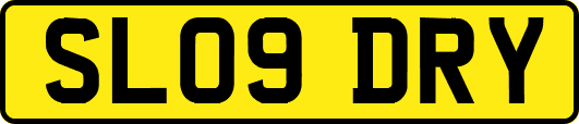 SL09DRY