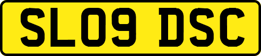 SL09DSC