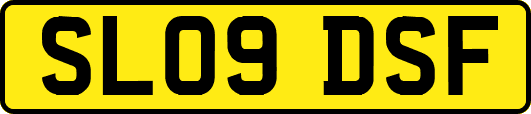 SL09DSF