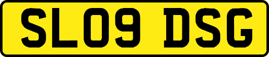 SL09DSG