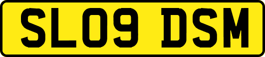 SL09DSM
