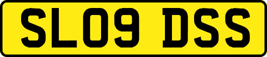 SL09DSS