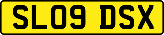 SL09DSX