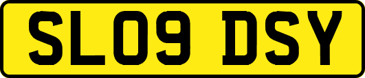 SL09DSY
