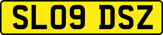 SL09DSZ