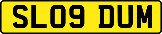 SL09DUM