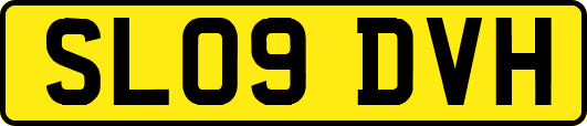 SL09DVH