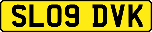 SL09DVK