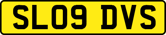 SL09DVS