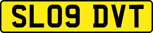 SL09DVT