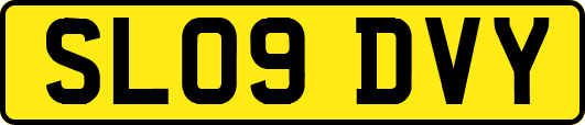 SL09DVY