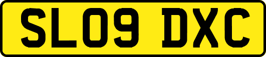 SL09DXC