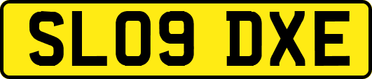 SL09DXE