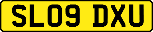SL09DXU