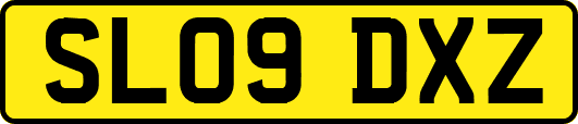 SL09DXZ