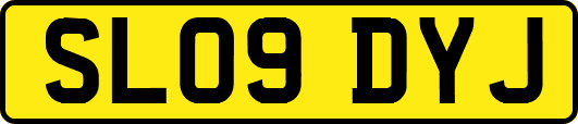 SL09DYJ