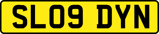 SL09DYN