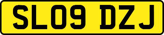 SL09DZJ