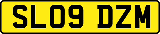 SL09DZM