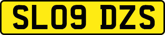 SL09DZS