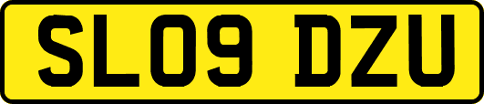 SL09DZU